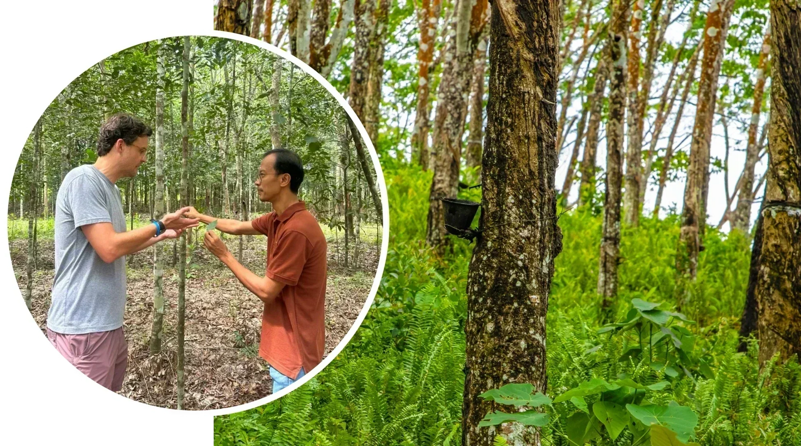 Regenerative Rubber Initiative